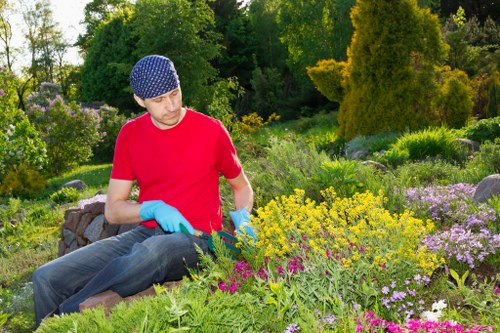 Safety signage and protective measures on a residential lawn